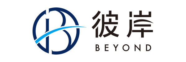 BeyondBorderGroup.com logo